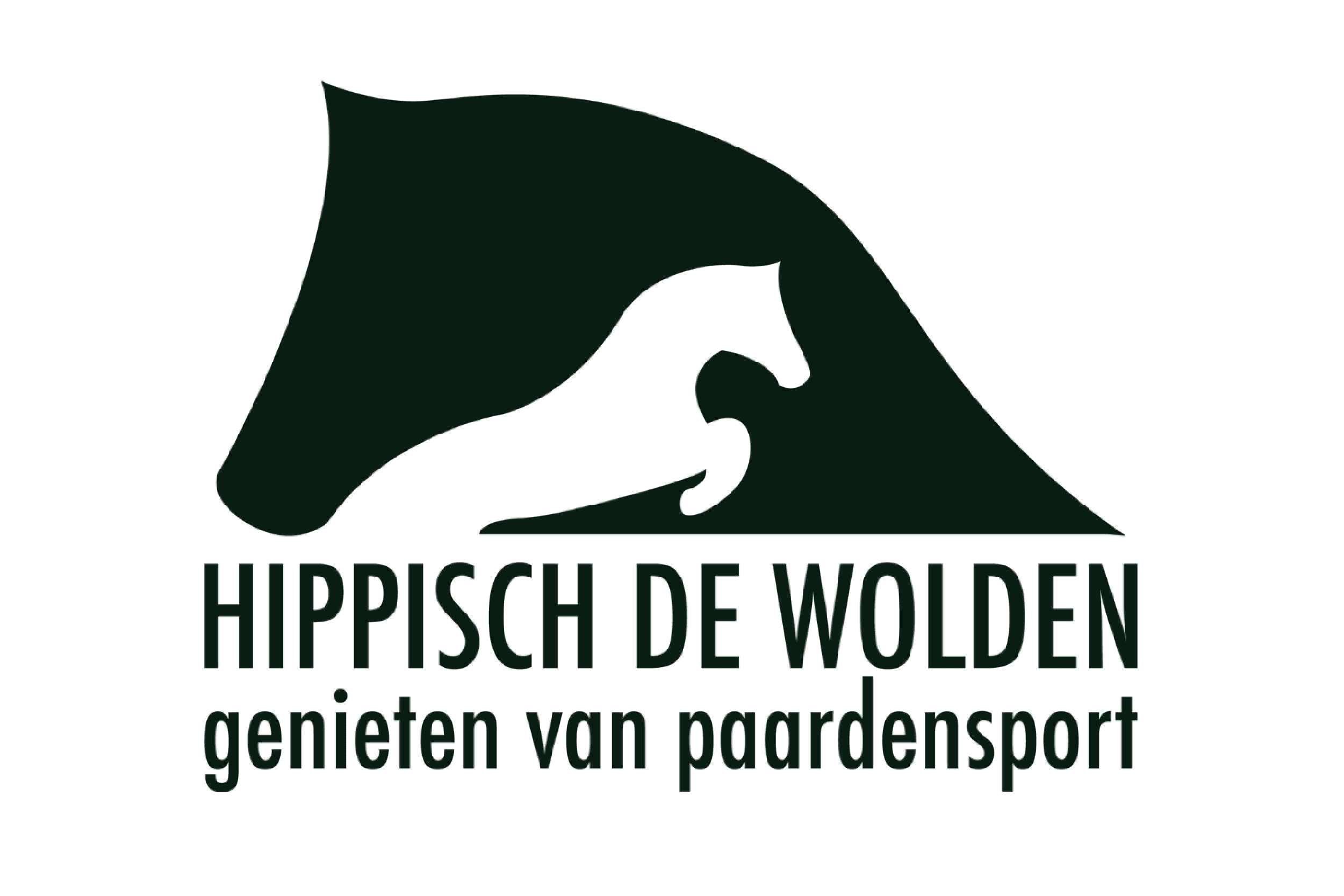 Het logo van Hippisch de Wolden
