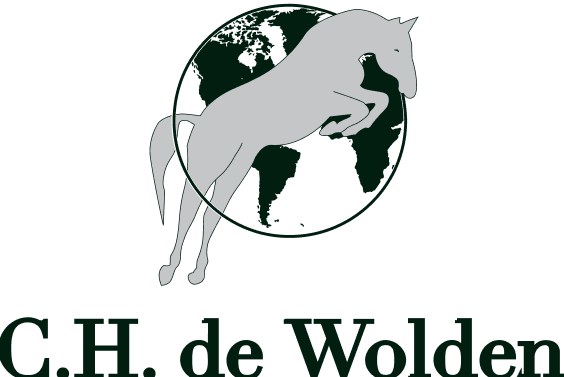 ChDeWoldenLogo_ModernVisuals