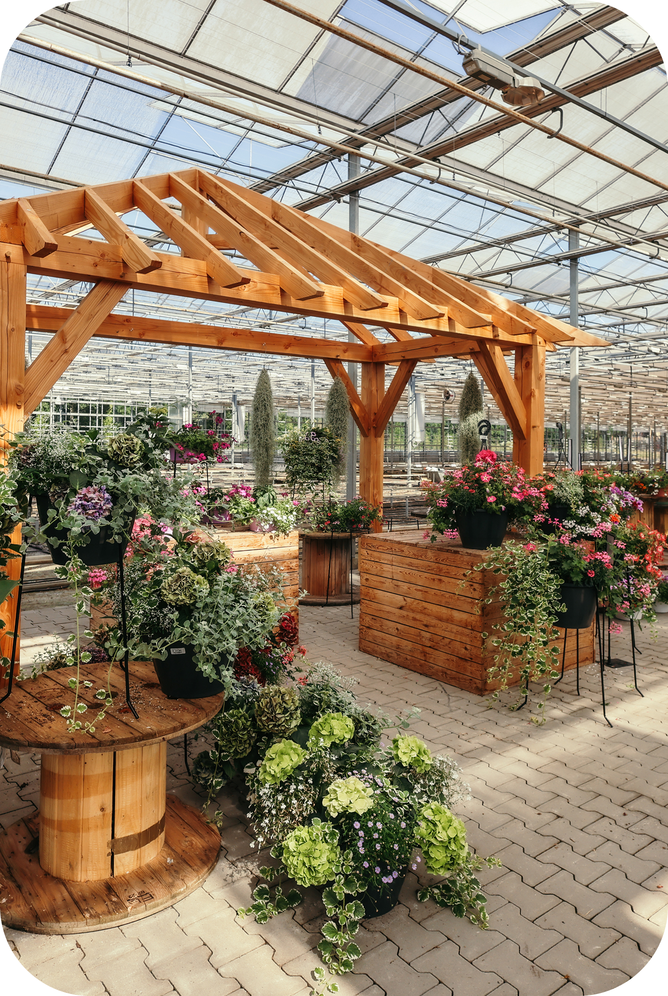 kopen waar het groeit