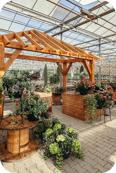 kopen waar het groeit