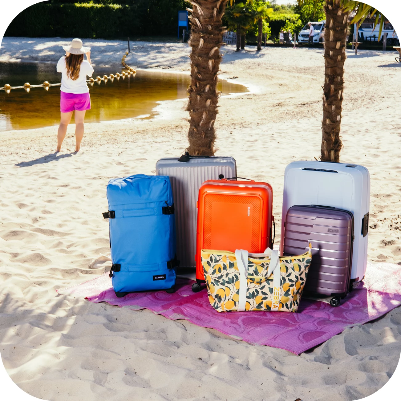 Website laten maken Hoogeveen