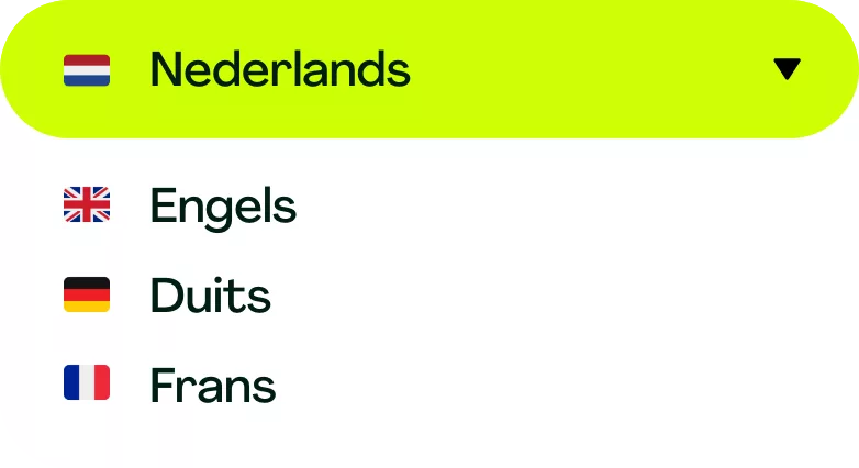 meertalige-website